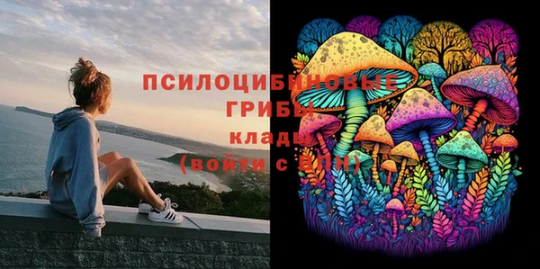 шишки Осташков