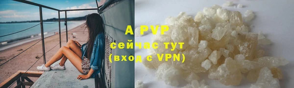 шишки Осташков
