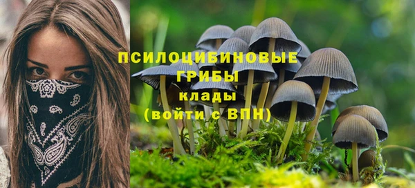 ПСИЛОЦИБИНОВЫЕ ГРИБЫ Нязепетровск