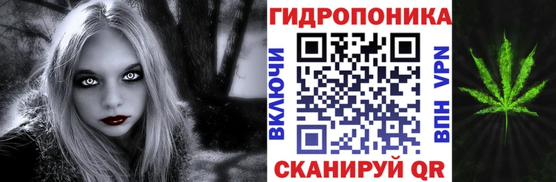Конопля сатива Мостовской
